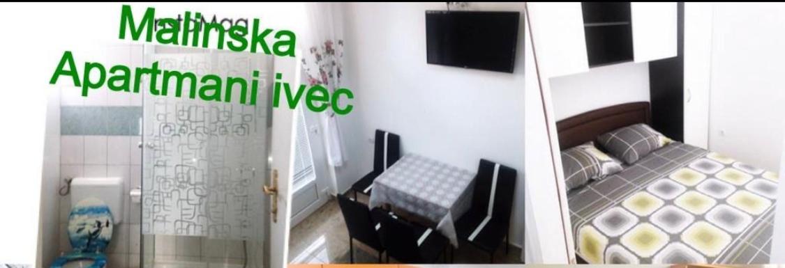 Ivec Apartment